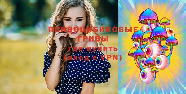 гидропоника Арсеньев