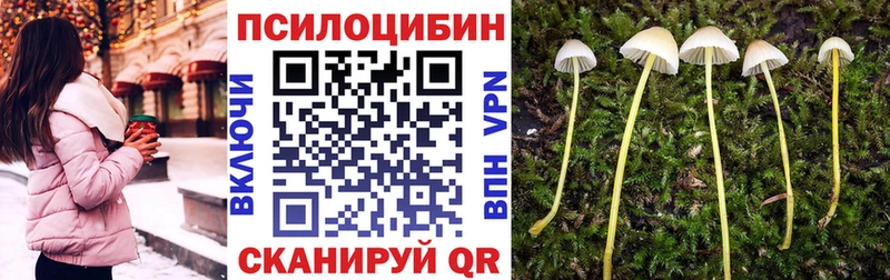 Купить закладки  Медвежьегорск  Галлюциногенные грибы мухоморы 